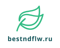 Логотип bestndflw.ru